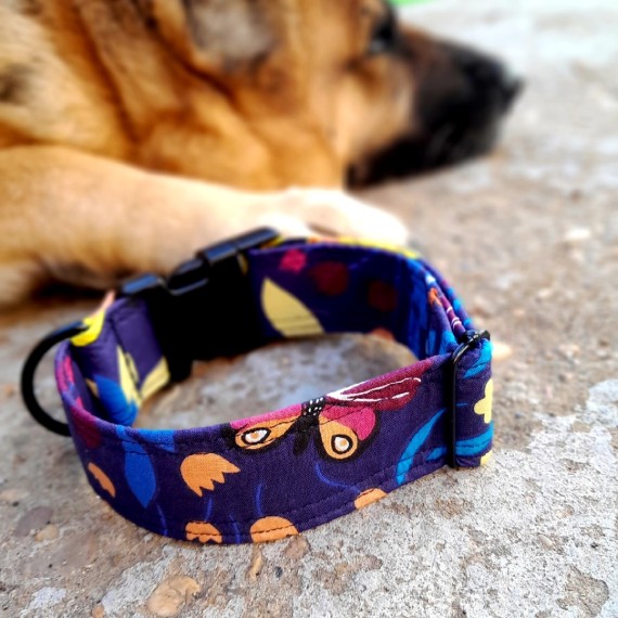  COLLAR 